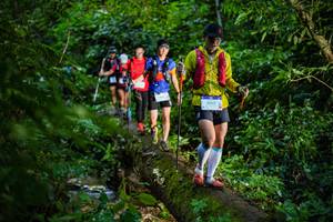 BIB: 9517, 
                            <button type="button" onclick="openModal(18922522)" class="btn btn-primary btn-sm float-right btn-popup" data-toggle="modal" data-target=".modal-high-quality">
                        <i class="fas fa-shopping-cart"></i> Add to Cart
                    </button>
                                            <button type="button" onclick="isThisMe(18922522, true)" class="btn btn-success btn-sm float-right btn-popup btn-isme hidden" data-toggle="tooltip" data-placement="bottom" title="นี่คือรูปของคุณใช่ไหม คลิกที่นี่เพื่อเอาเข้าอัลบั้ม">
                        <i class="fas fa-plus"></i> Add to album
                    </button>
                    <button type="button" onclick="isThisMe(18922522, false)" class="btn btn-warning btn-sm float-right btn-popup btn-isnotme hidden">
                        <i class="fas fa-ban"></i> Remove from album
                    </button>